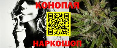 сатива Камышлов