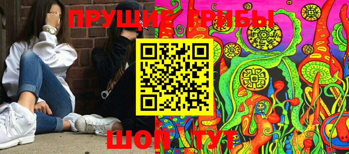 Галлюциногенные грибы Psilocybine cubensis Черногорск